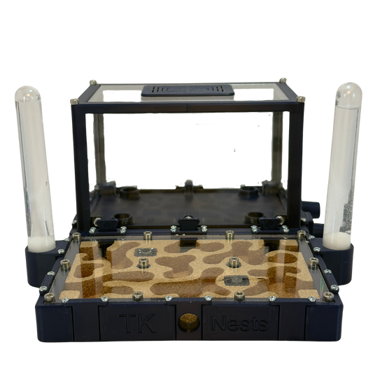 Zestaw TK2 10x15